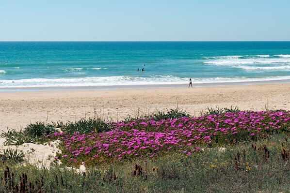 Playa