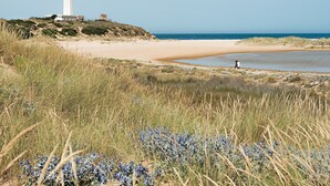 Un paisaje costero con un faro, una playa y dunas cubiertas de hierba.