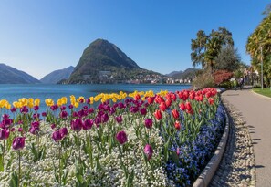 Exterior - Sunrise House (Lugano)