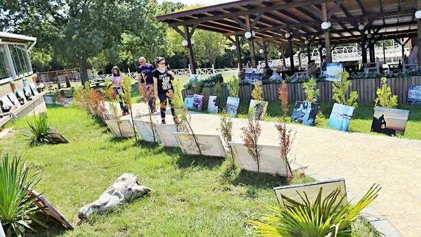 Children's play area - outdoor
