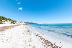 Playa en los alrededores 