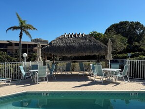 Relax by the pool surrounded by palm trees and lounge chairs.