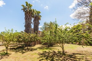 Área da propriedade