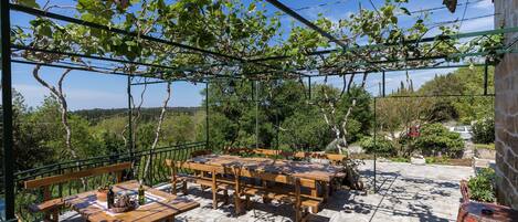 House (Two Bedroom Apartment with Terrace) | Terrace/patio