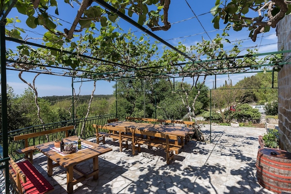 House (Two Bedroom Apartment with Terrace) | Terrace/patio