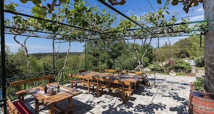 Country House Bakicevo