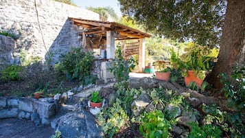 Jardin