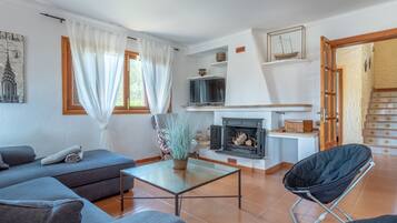TV, fireplace