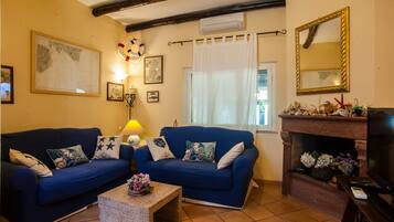 TV, fireplace, video games, table tennis