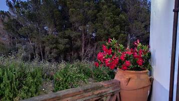 Overnatningsstedets område