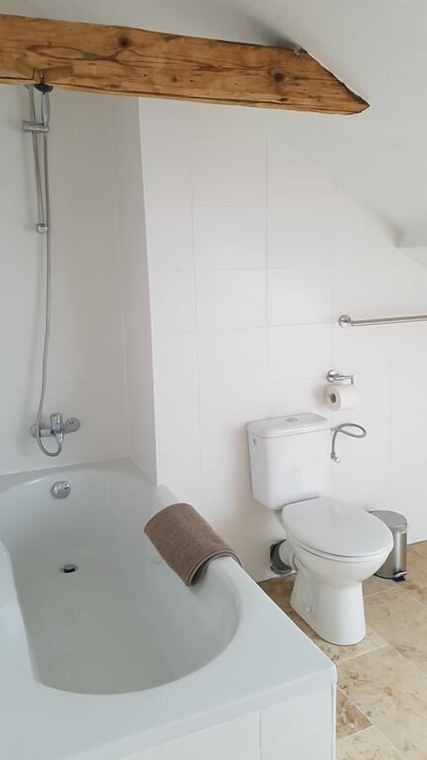 Ein Badezimmer mit Badewanne, Toilette und Dusche.