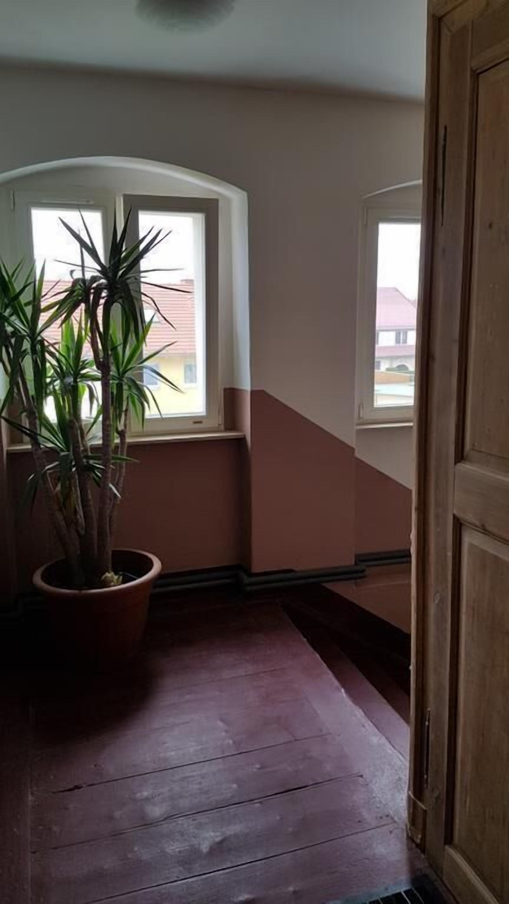 A narrow hallway with wooden flooring, a potted plant, and two windows with white frames.