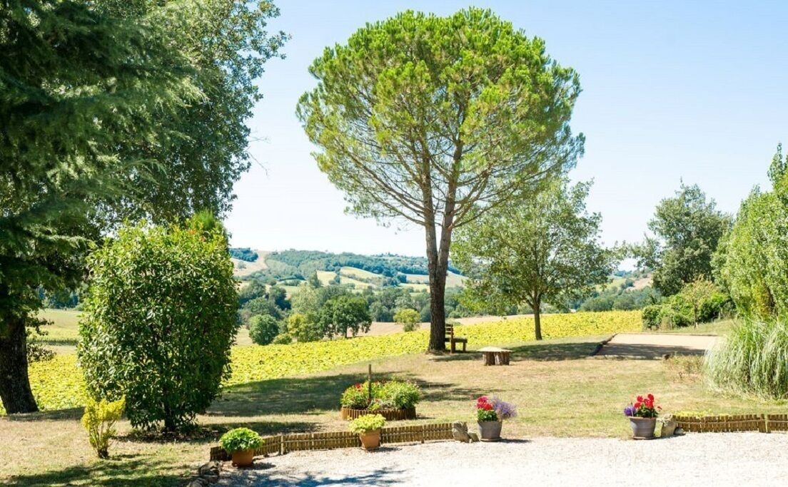 Áreas de la propiedad