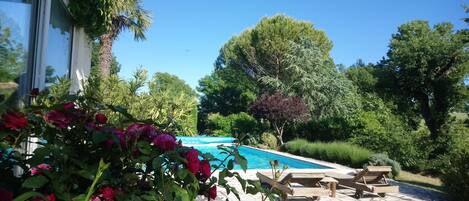 Una piscina al aire libre