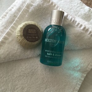 Combined shower/bathtub, hair dryer, towels, soap