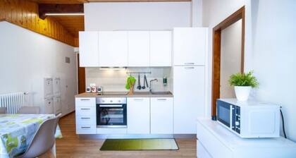 Modern Flat in Pinzolo