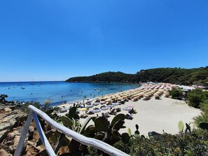 Une plage bordée de rangées de parasols et de chaises longues, un rivage sablonneux et un ciel bleu dégagé.