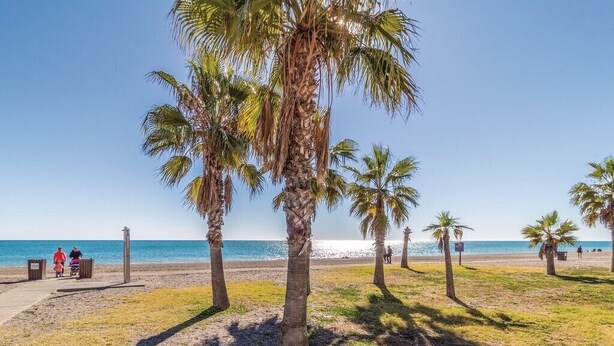 Una playa con palmeras, cielo despejado y mar tranquilo.