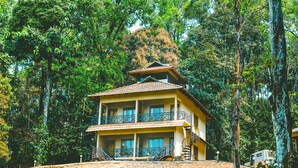 A two-story building with balconies, surrounded by trees. - Vythiri Wild Forest Resort (Vythiri)