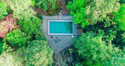 Vythiri Wild Forest Resort