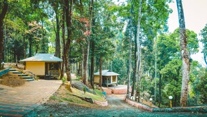 A forested area with a paved path leading to a small yellow building with a thatched roof. - Vythiri Wild Forest Resort (Vythiri)