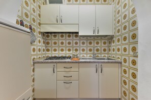 Fridge, stovetop, cookware/dishes/utensils