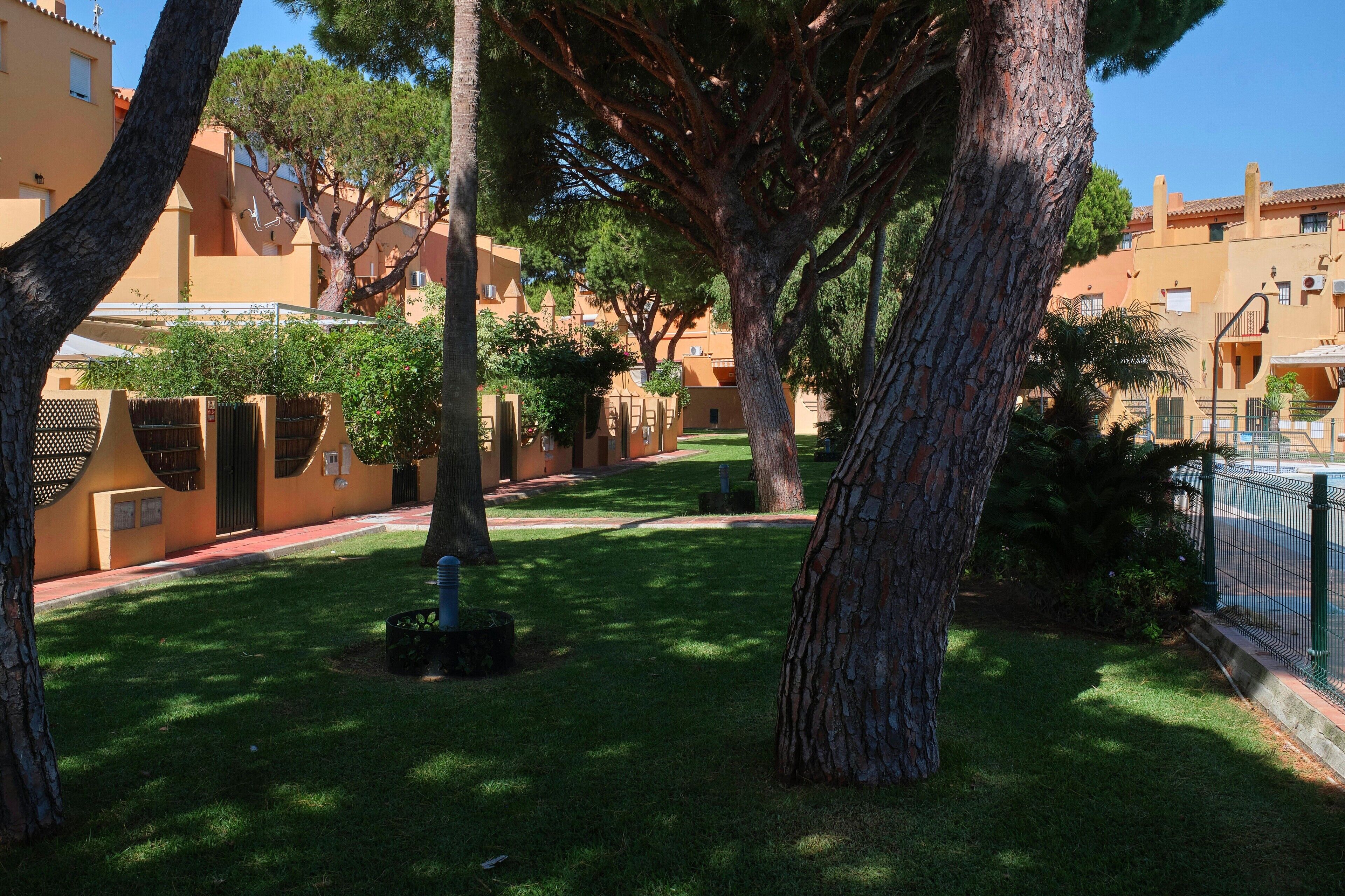 A courtyard with trees, a pathway, and buildings with balconies.