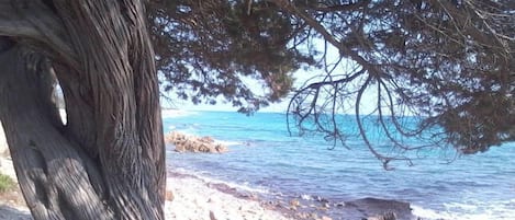 Plage à proximité