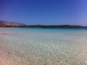 Playa en los alrededores 