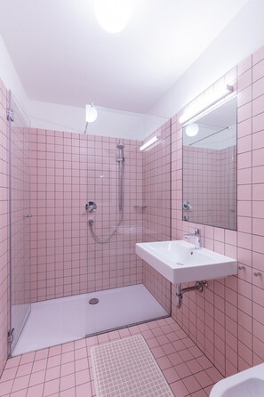 Ducha, secador de pelo y toallas