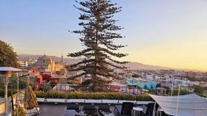 A rooftop pool area with a view of a cityscape, including a prominent tree and distant buildings.