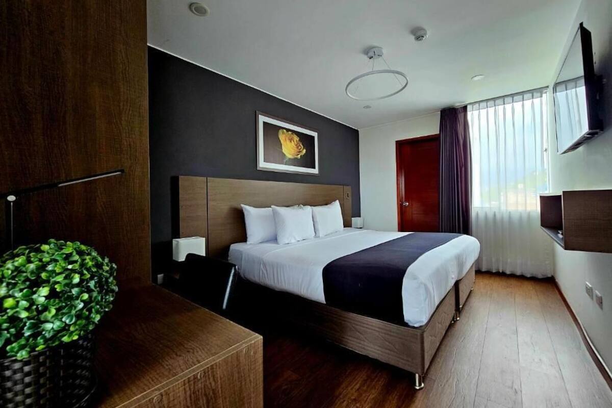 Een moderne hotelkamer met een houten bed, een groot raam met gordijnen, een flatscreen televisie en een potplant.
