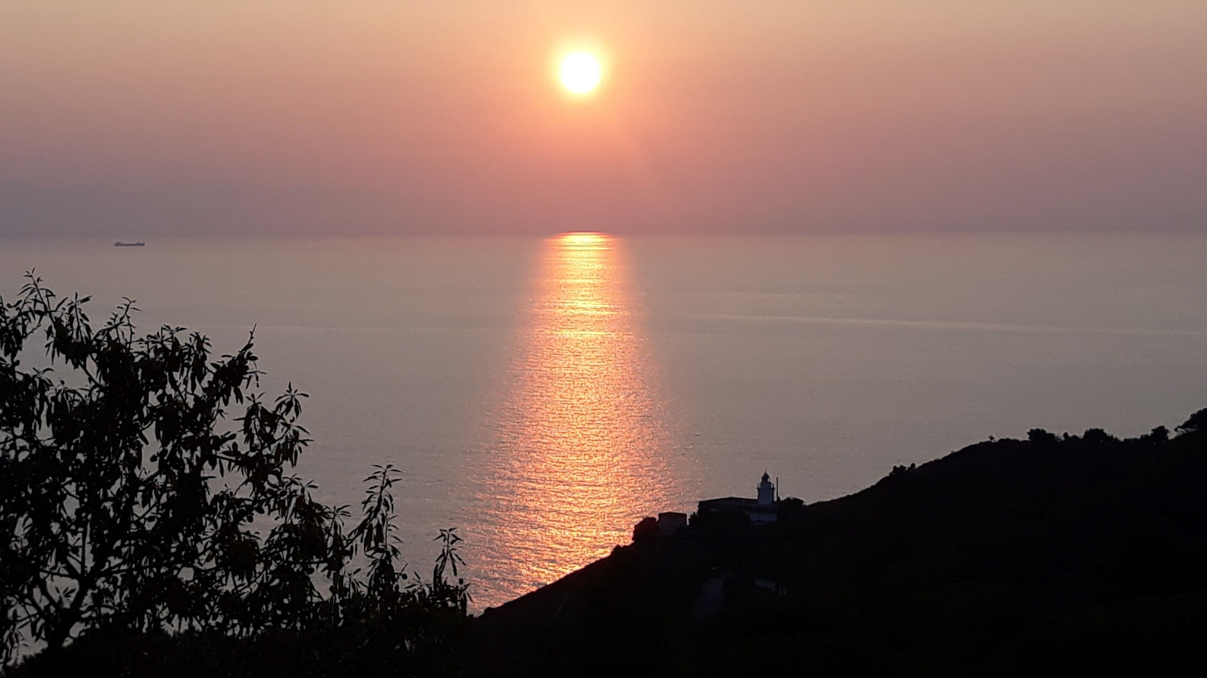 Ein Sonnenuntergang über ruhigem Meer mit Baumkonturen und einem entfernten Gebäude.