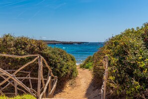 A coastal path leading to the sea, surrounded by dense foliage.