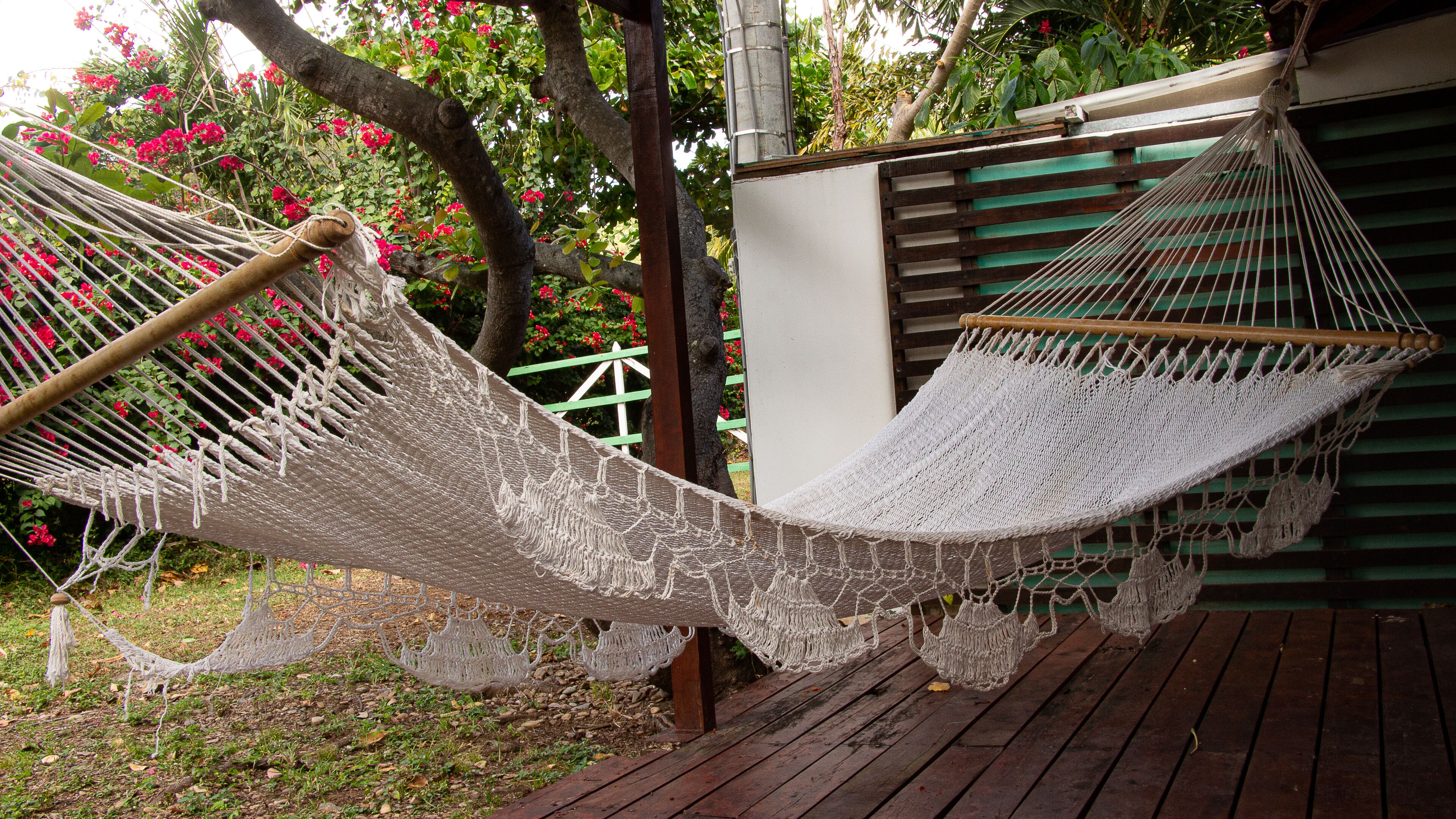 standard double or twin room, multiple beds | view from room