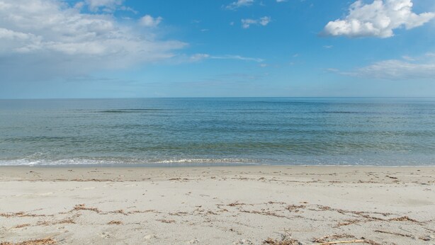 Une plage avec un ciel dégagé et une eau calme.