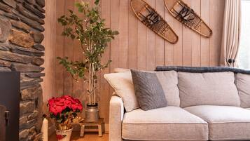 Televisión y chimenea