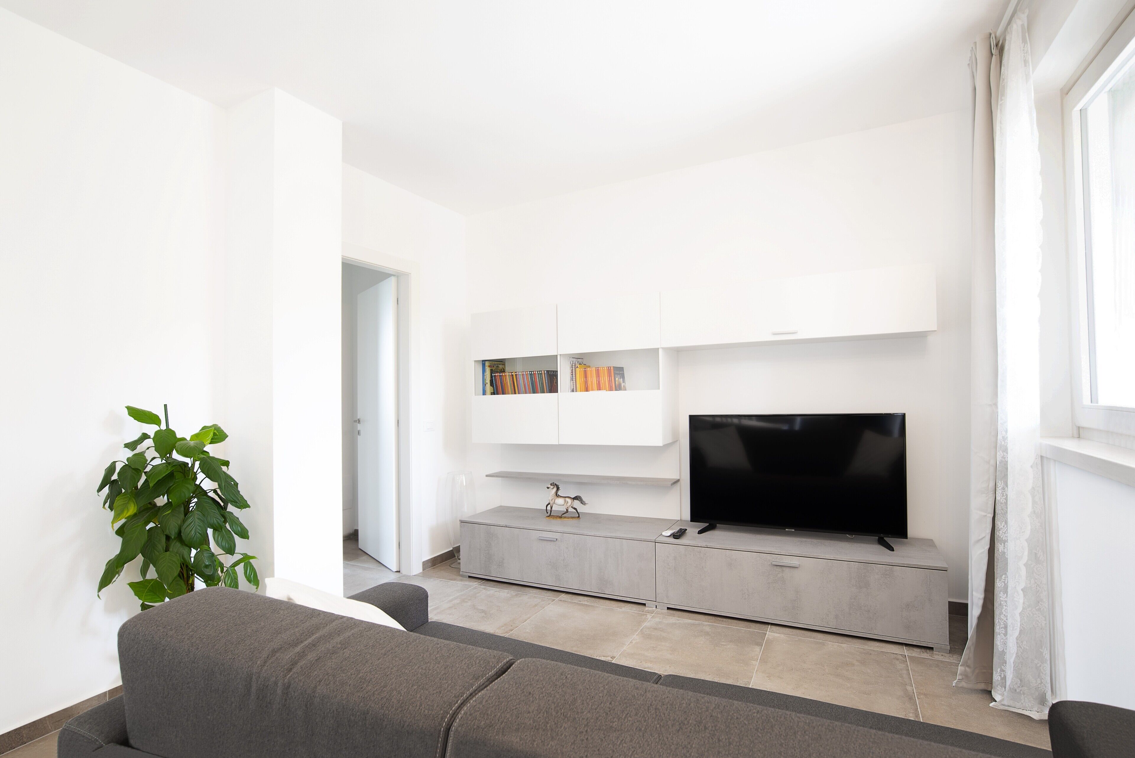 TV
