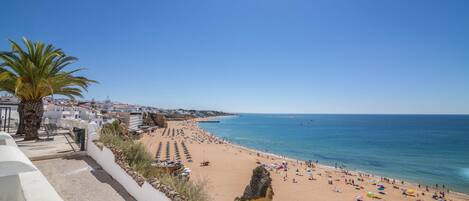 بالقرب من الشاطئ