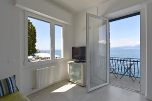 Fernseher