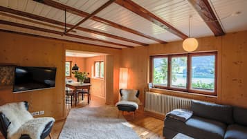 TV, fireplace, books, stereo
