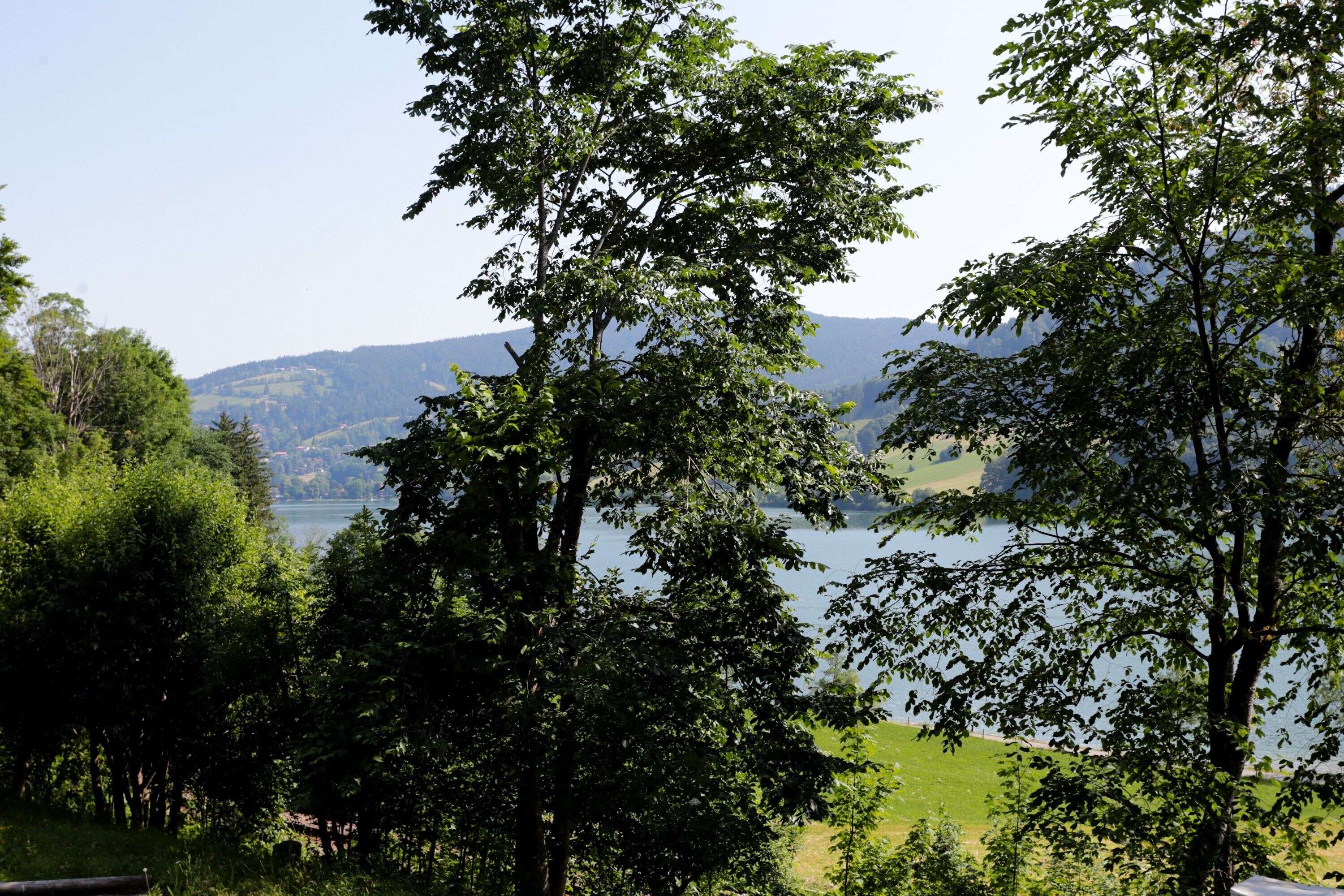 A natural landscape with trees and a lake.