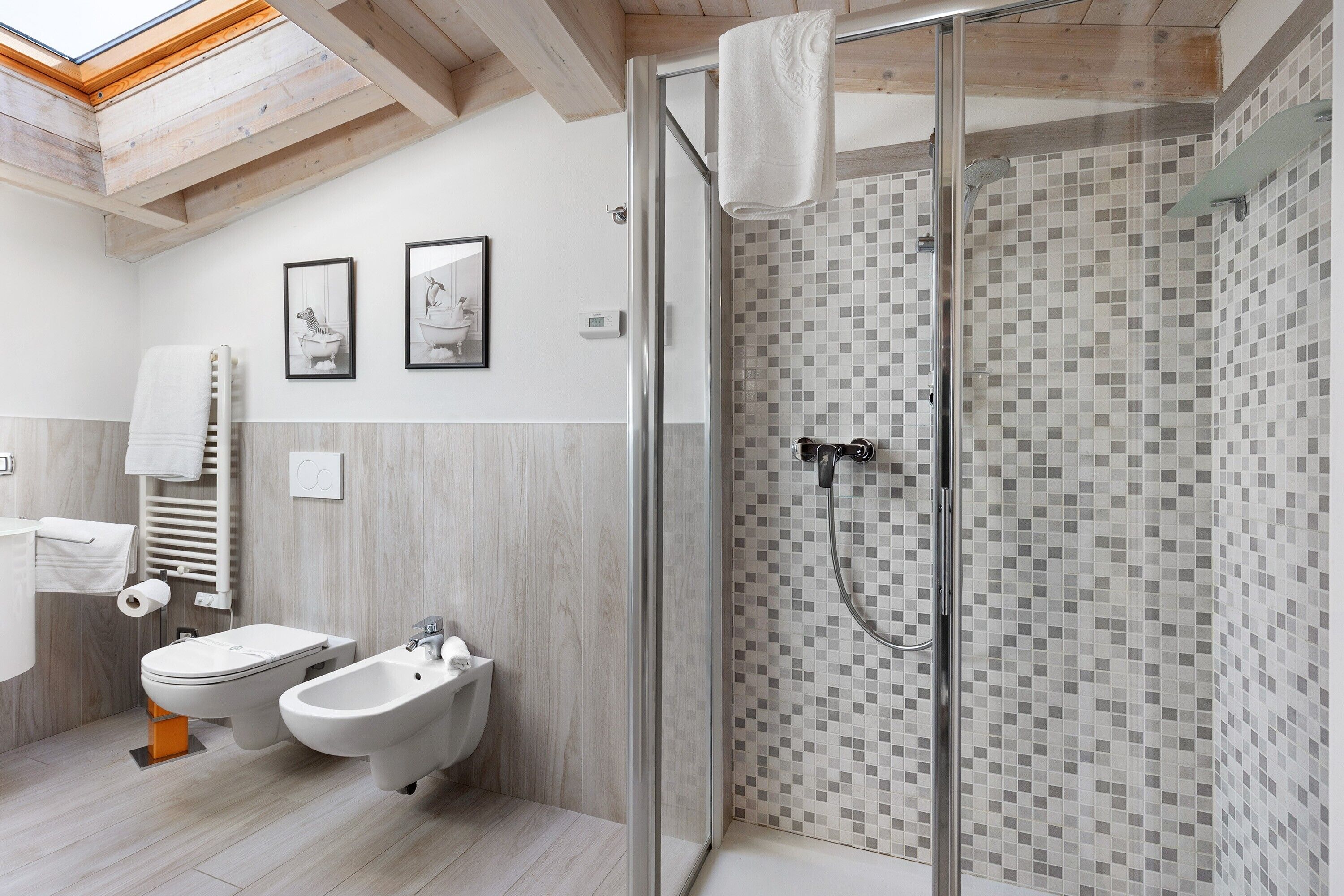 Dusche, Haartrockner, Handtücher