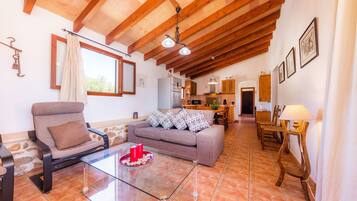 TV, fireplace, table tennis, stereo