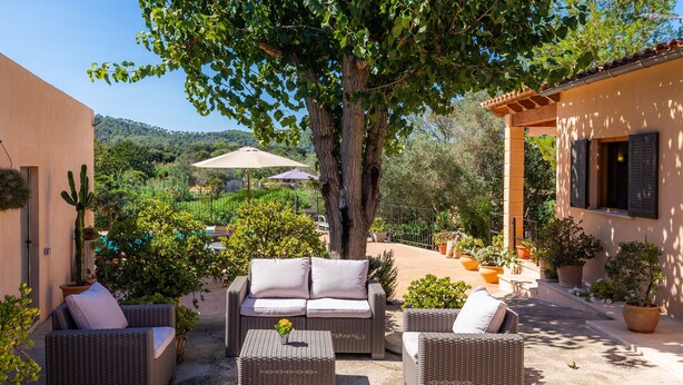 Eine Terrasse mit Korbmöbeln, Topfpflanzen und einem großen Baum, der Schatten spendet.