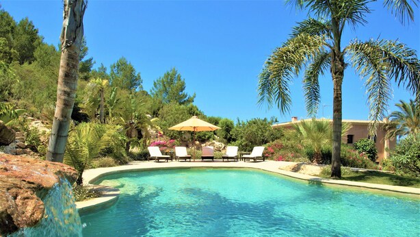 Une piscine aux eaux cristallines, bordée de chaises longues et agrémentée d’un parasol, le tout entouré de palmiers et de verdure.