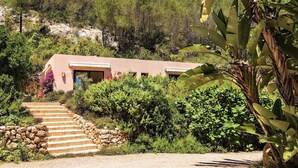 Un bâtiment doté d’un escalier en pierre menant à une porte, le tout entouré d’une végétation luxuriante et d’arbres.