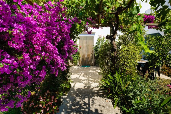 A garden pathway with vibrant purple flowers, a wooden pergola, and a stone wall.