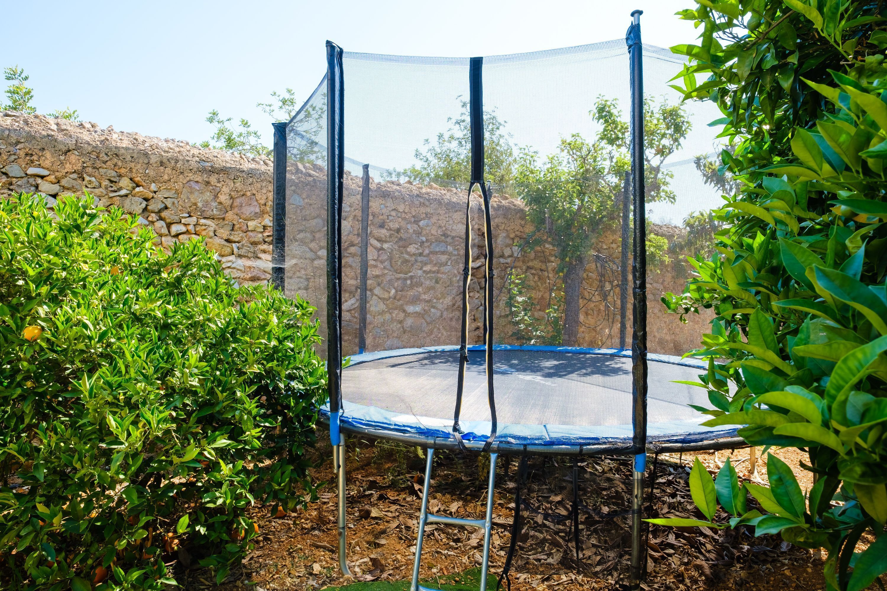 Parco della struttura