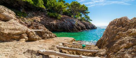 Paesaggio costiero roccioso con acque turchesi cristalline, alberi verdi rigogliosi e un sentiero di legno che conduce verso il mare.